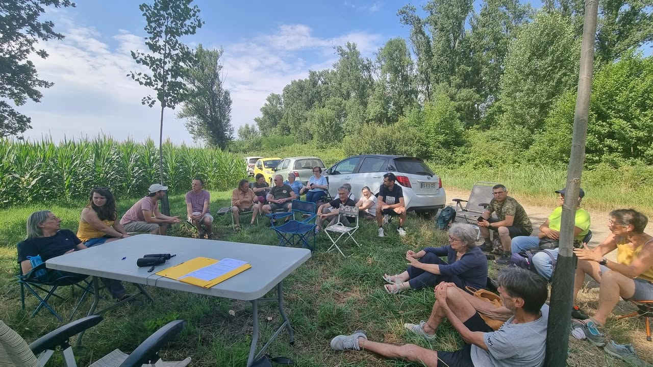 515925212 1956192958481799 5256370499600751785 n